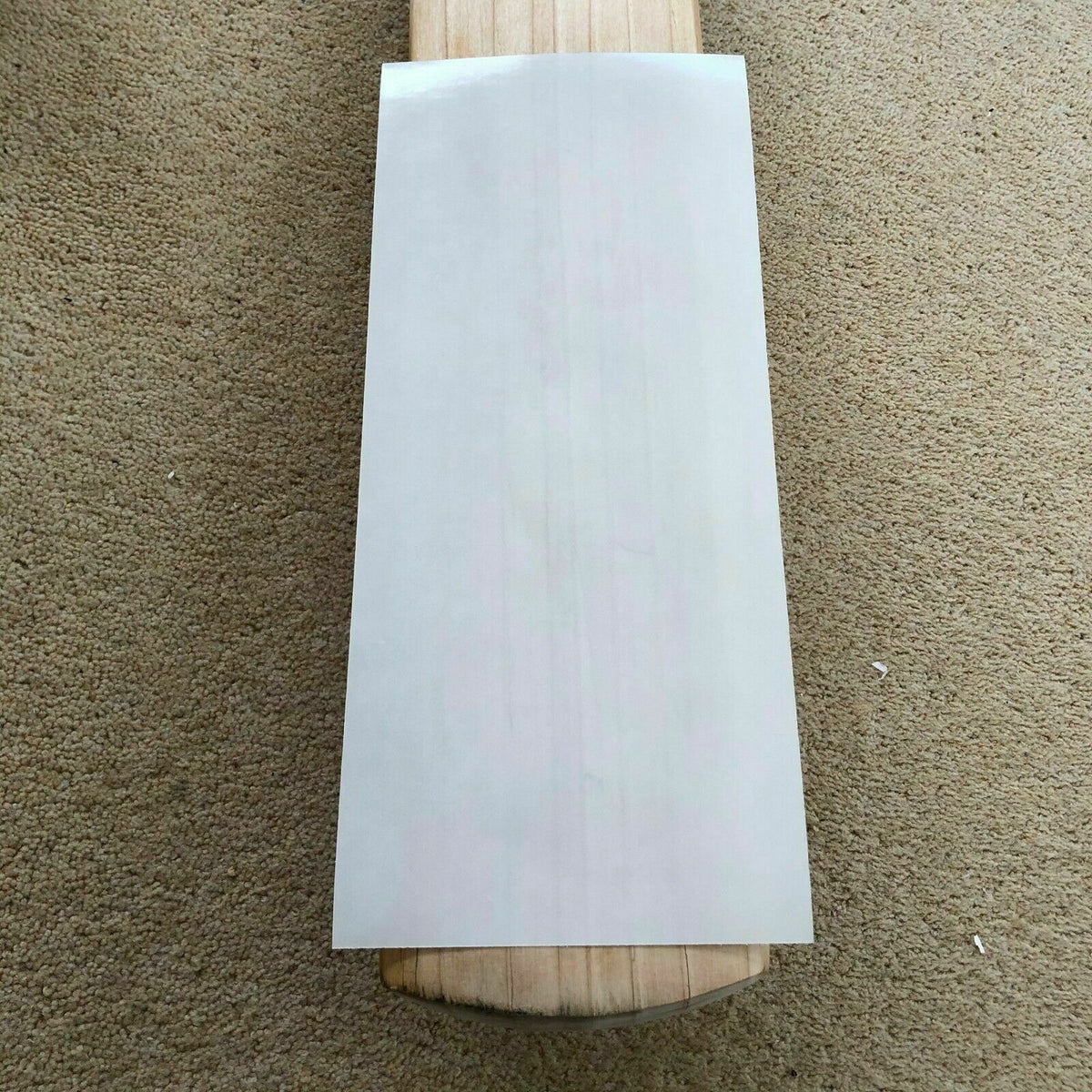 Professional Clear Anti Scuff Sheet Cricket Bat Face 50 Metre Tape Roll