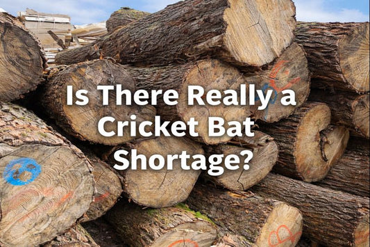 Is There Really a Cricket Bat Shortage?