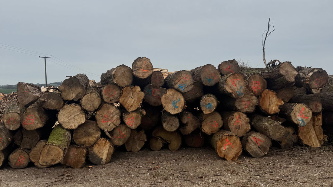 Where do we source our willow?