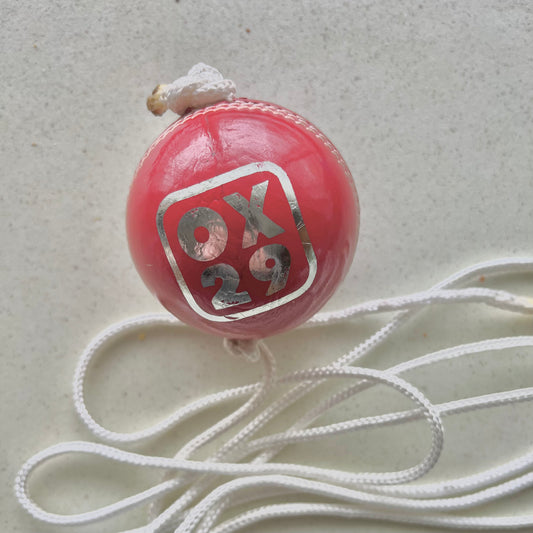 Cricket ball on a string